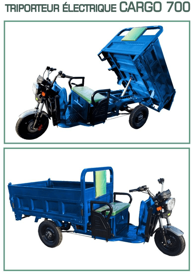 TRIPORTEUR ÉLECTRIQUE CARGO 700