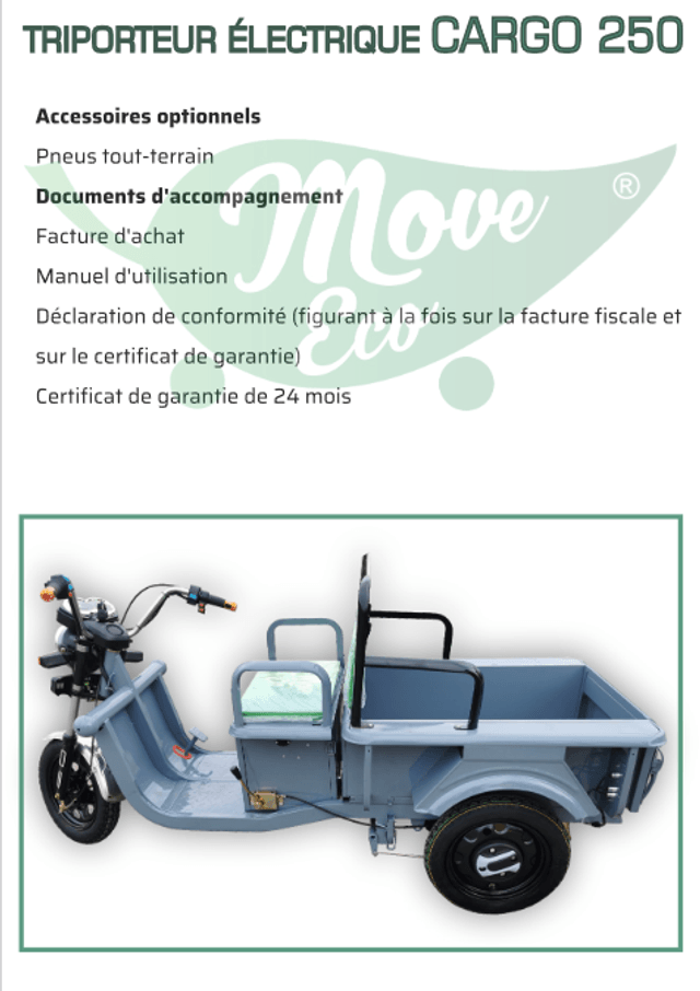 Tricycle électrique Cargo 250