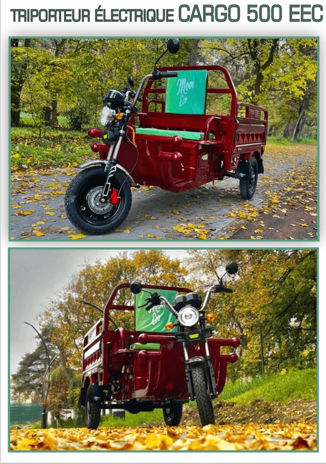 TRIPORTEUR ÉLECTRIQUE CARGO 500 EEC homologué