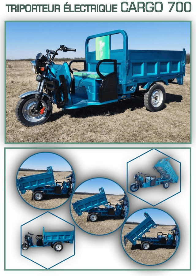 TRIPORTEUR ÉLECTRIQUE CARGO 700