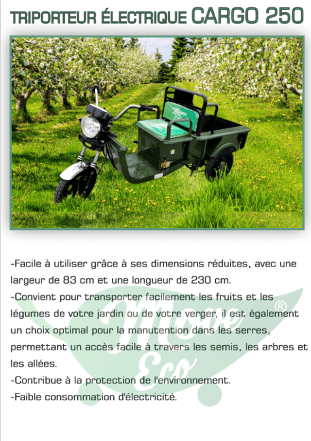 Tricycle électrique Cargo 250